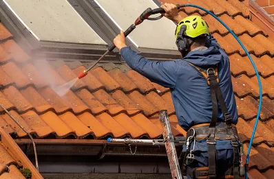 Démoussage et hydrofuge de toiture à Aveize